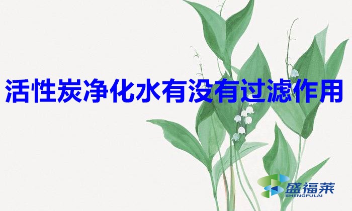 活性炭凈化水有沒有過濾作用（活性炭在凈水行業(yè)的應(yīng)用）