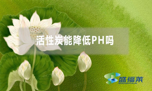 活性炭能降低PH嗎？為什么？