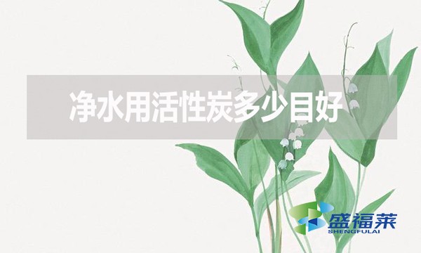 凈水用活性炭多少目好？有哪些優(yōu)缺點(diǎn)？