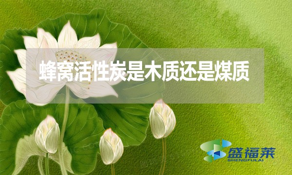 蜂窩活性炭是木質(zhì)還是煤質(zhì)？哪種好？