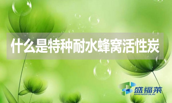 什么是特種耐水蜂窩活性炭？哪里能用到？